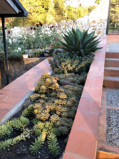 Extensive Garden Areas