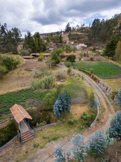 dji_0041